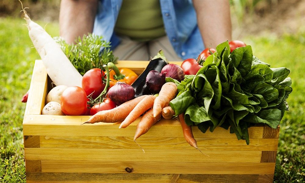 ¿Realmente son mejores los productos orgánicos que los normales?